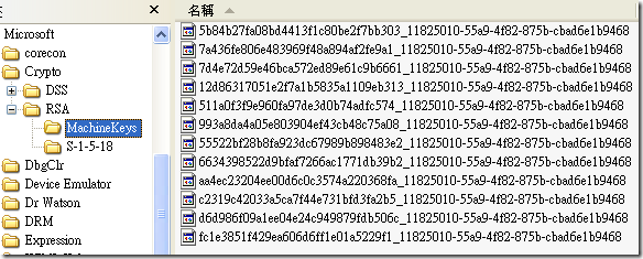 C:\Documents and Settings\All Users\Application Data\Microsoft\Crypto\RSA\MachineKeys