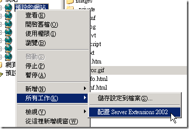 配置 Server Extension 2002
